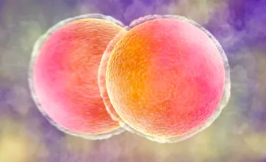 O echipă internațională de cercetători ar fi reușit, în premieră, „să întinerească” ovule umane