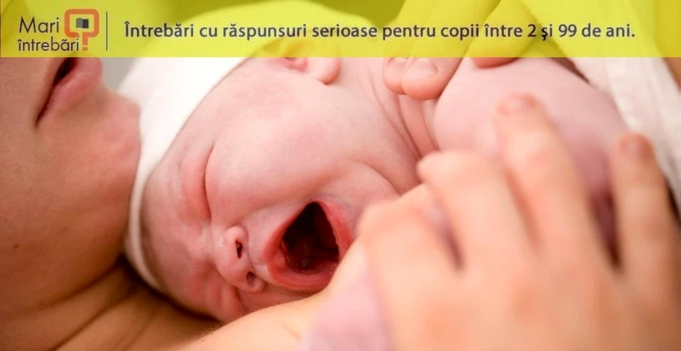 Ce se întâmplă atunci când un bebeluș respiră pentru prima dată?