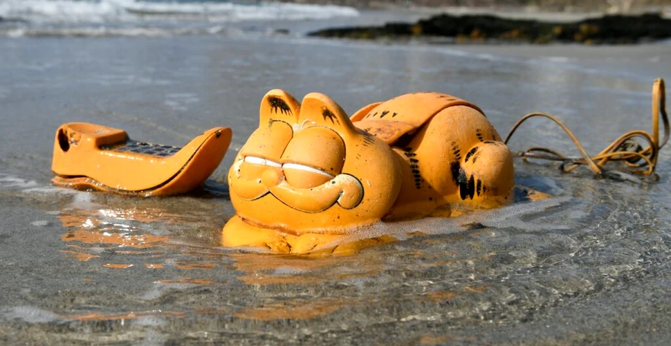 Misterul telefoanelor Garfield care au împânzit plajele Franței, elucidat după 30 de ani