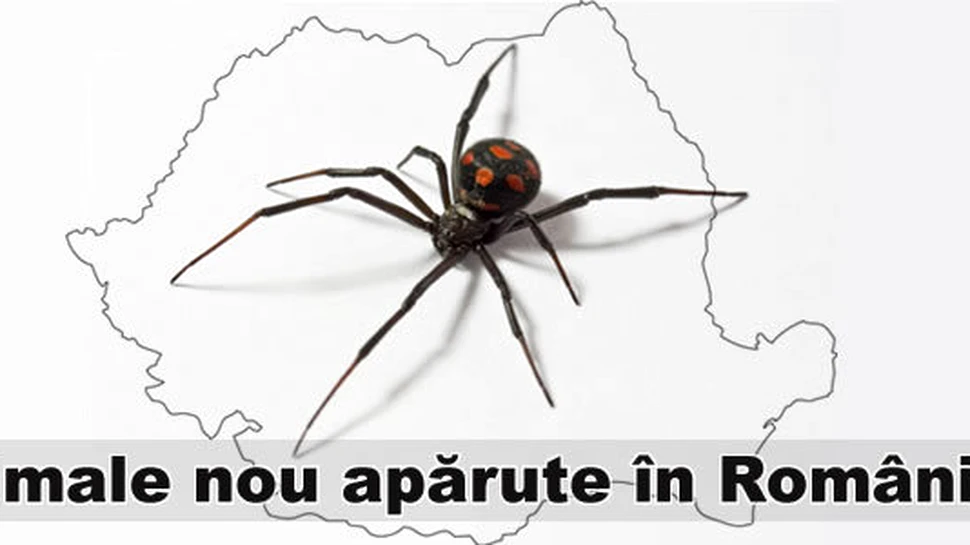 Animale nou apărute în România