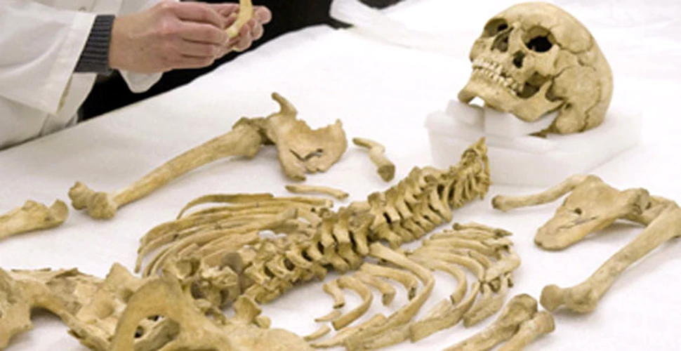 Fosilele umane vorbesc despre viata  primelor colonii americane