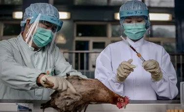 Un subtip al virusului gripei aviare, H9N2, a fost detectat în Hong Kong