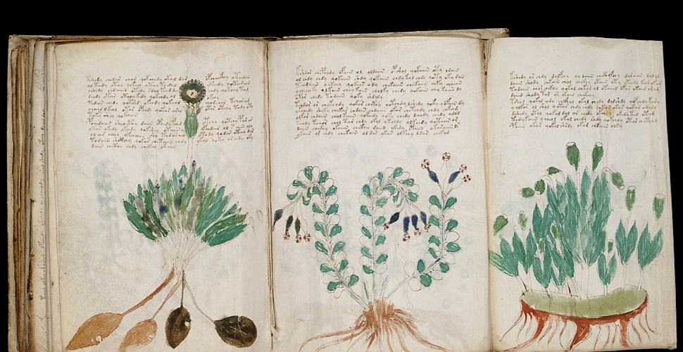 A fost decriptat codul folosit în Manuscrisul lui Voynich. Peste 100 de ani a reprezentat una dintre cele mai grele provocări pentru specialişti