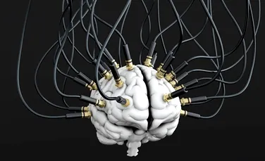 Premieră în lumea ştiinţei: a fost filmat modul în care sunt create amintirile în creier (VIDEO)