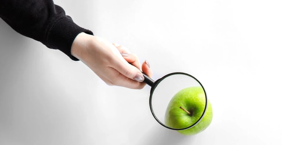 (P) Optimizarea SEO sub lupă: Ce schimbări aduce inteligența artificială?