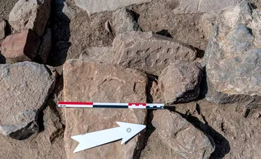O tablă de joc din piatră din Epoca Bronzului a fost găsită în Oman