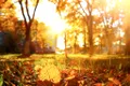 Cum va fi vremea în octombrie? Iată ce prognozează meteorologii ANM!