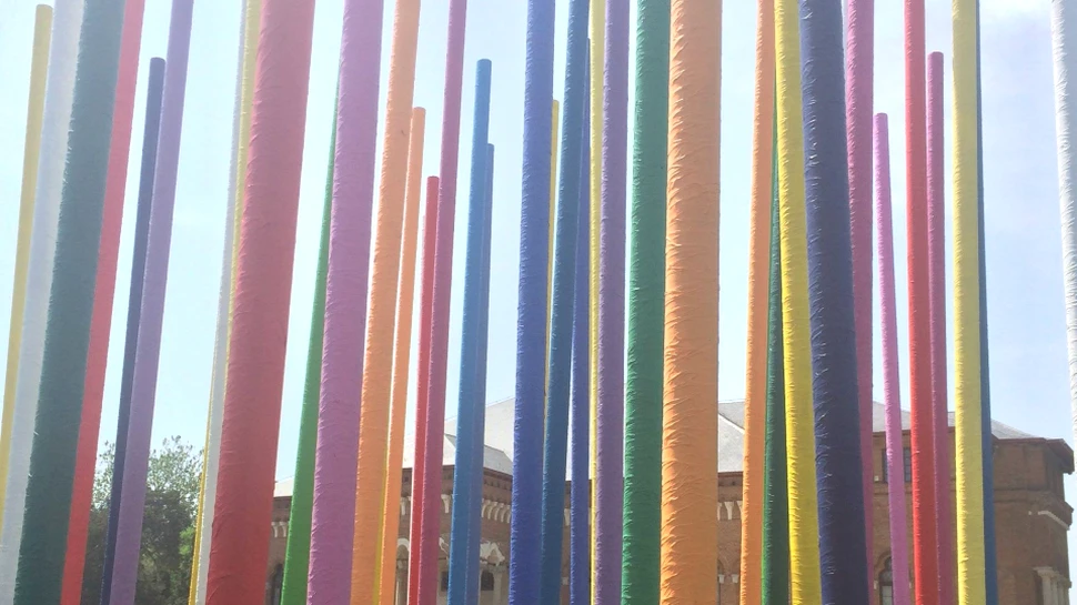 „Manifestul” împotriva poluării şi a defrişărilor a ajuns la Mogoşoaia