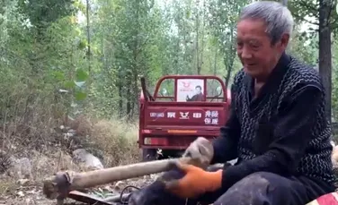 Un bătrân cu ambele picioare amputate a plantat de unul singur peste 17.000 de copaci
