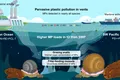 Microplasticele ajung chiar și la 2.000 de metri sub suprafața oceanului, arată un nou studiu
