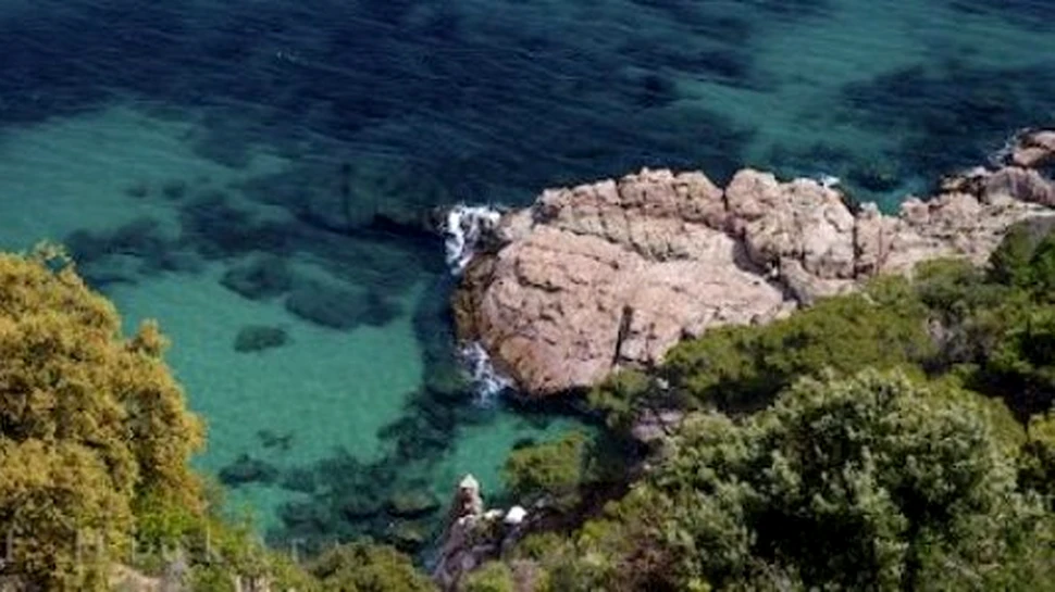 Charter Costa Brava