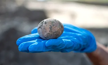 Arheologii israelieni au descoperit un ou vechi de 1.000 de ani, însă l-au spart din greșeală în laborator