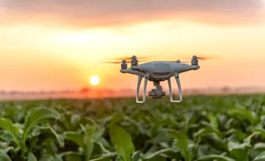 Fermierii din India stropesc culturile agricole cu dronele