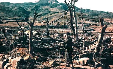 Copacii care au supraviețuit bombei atomice lansate asupra Hiroshima