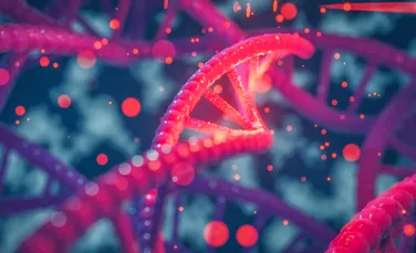 Terapiile bazate pe editarea genetică prin metoda CRISPR ar putea favoriza anumite celule