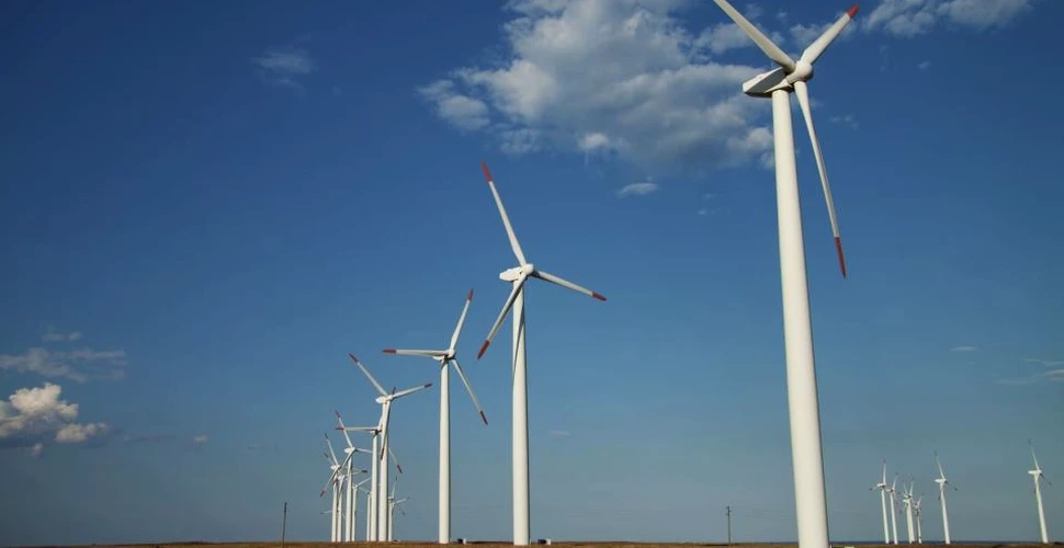 Contrar aşteptărilor, centralele eoliene au un efect nociv asupra ecosistemelor
