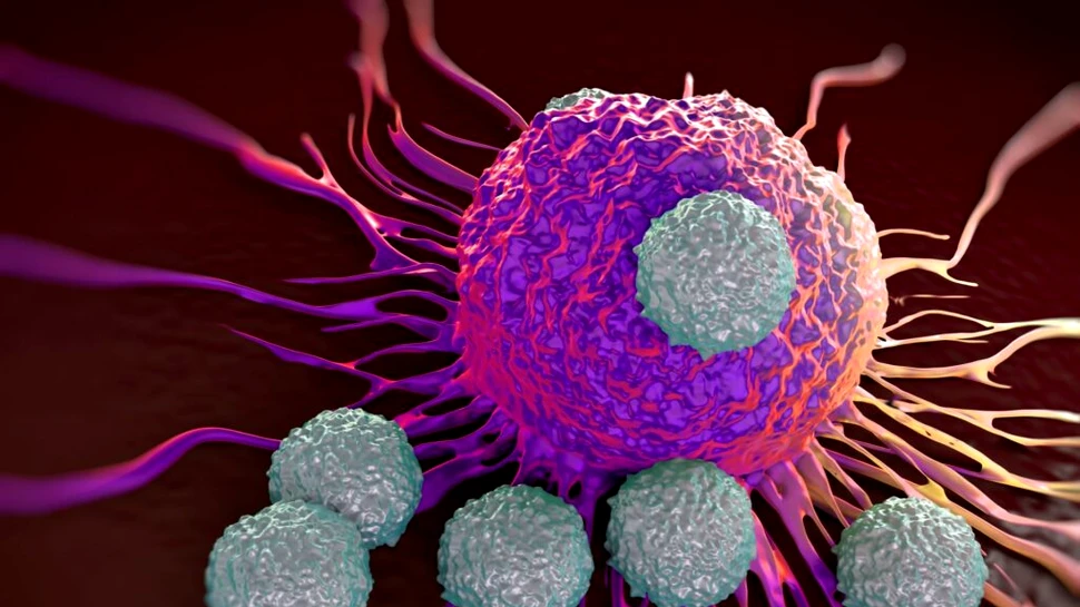 Cercetătorii au descoperit o celulă din corpul uman ce poate ataca cancerul