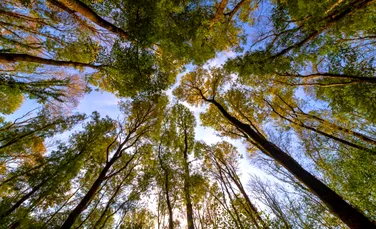 Avertisment: Ce s-ar întâmpla dacă Marea Britanie ar renunța la angajamentele climatice?