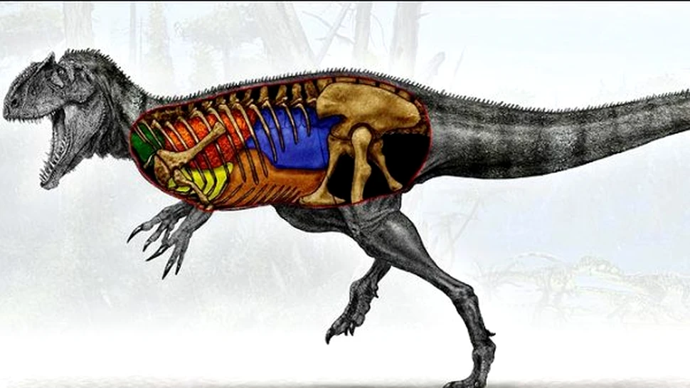 Varul lui T.Rex respira precum pasarile