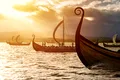 Expansiunea vikingilor în Africa. Cum au contribuit la formarea regatului african?
