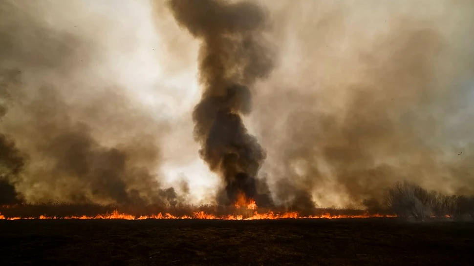 Incendiile siberiene, record istoric negativ. Aproape 5.000 de kilometri afectați de fum