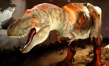 Dinozaurii erau ucigasi cu sange cald