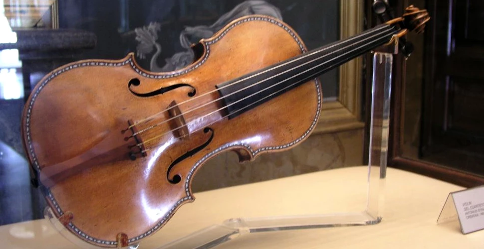 Rivala instrumentelor Stradivarius: vioara creată cu ajutorul ciupercilor