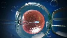 Erbicid controversat, găsit în mai bine de jumătate dintre probele de spermă