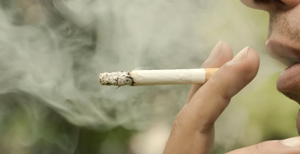 Ţara care introduce pachetele de ţigări „neutre”. Autorităţile speră că astfel vor descuraja fumatul (FOTO)