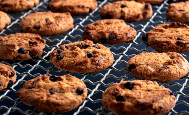 Expunerea la lumină puternică poate reduce pofta de mâncare, arată un studiu