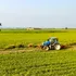 Parlamentul European a aprobat un pachet de măsuri în sprijinul fermierilor