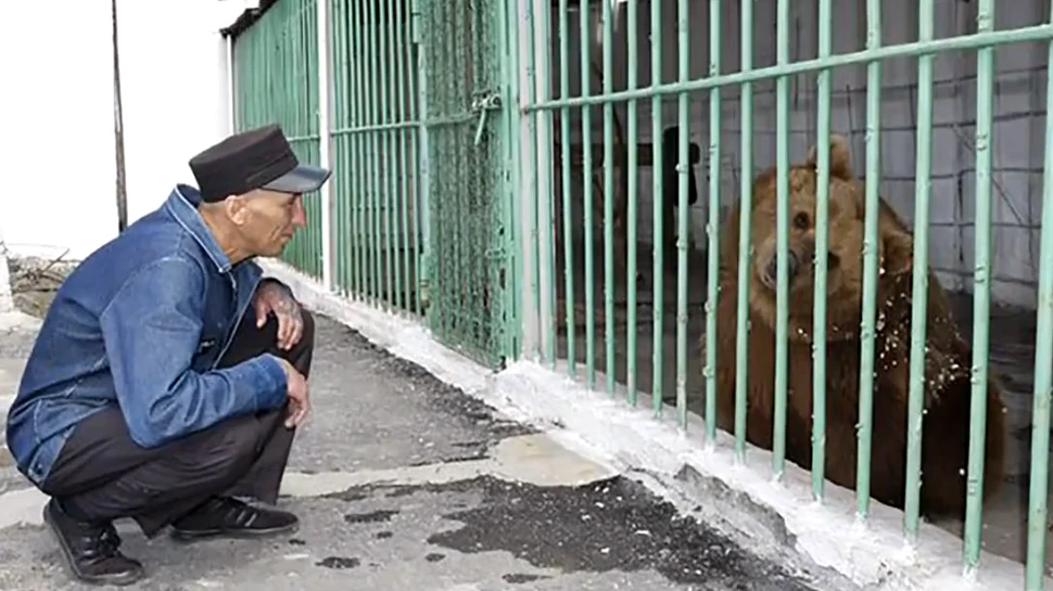 Caz unic în lume: de ce a ajuns o ursoaică la închisoare