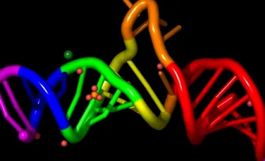 ARN-ul, prima molecula a vietii