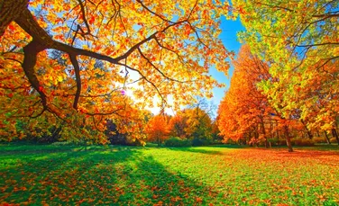 Toamna vine cu temperaturi mai mari decât ar fi normal! Ce anunță meteorologii?