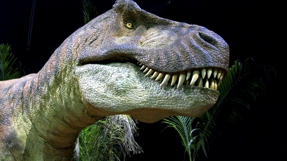 A fost descoperit cel mai vechi reprezentant al unei specii de crocodili. A trăit în urmă cu 170 de mii de ani şi era asemănător cu T. Rex