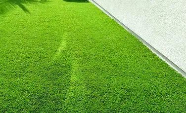 A fost inventat covorul din iarbă care instalat pe acoperiş generează energie electrică