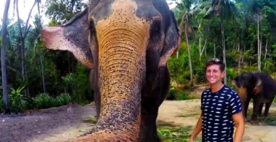 I-a luat camera GoPro şi a făcut un selfie. Păţania unui canadian care a întâlnit un elefant extrem de prietenos – VIDEO