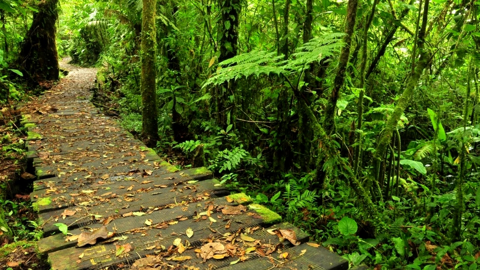 Costa Rica este cea mai apreciată destinaţie de către turişti. Iată pe ce loc se clasează România!