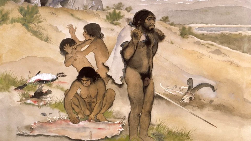 Dieta neanderthalienilor cuprindea şi fructe de mare