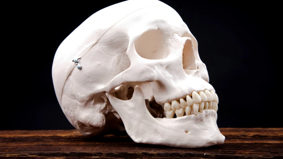 Academicienii de la Oxford au băut zeci de ani dintr-un potir făcut dintr-un craniu uman