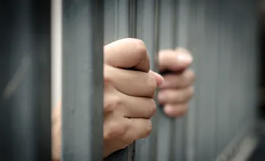Este violența înnăscută sau învățată? Un nou studiu încearcă să facă lumină!