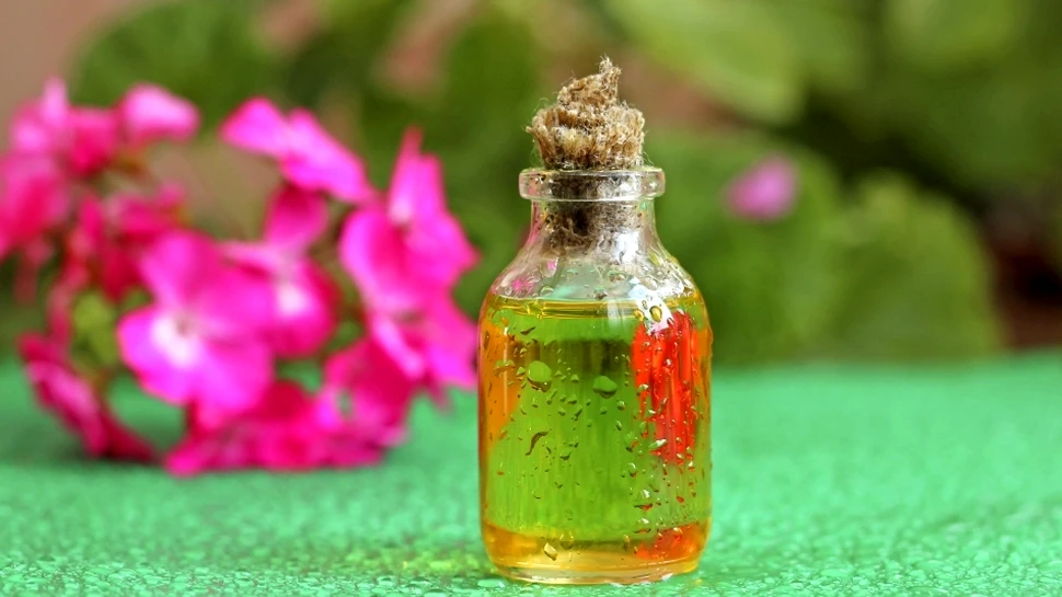 Din miracolele naturii: rădăcina de muşcată ar putea conţine elementul-cheie al unui leac pentru SIDA!