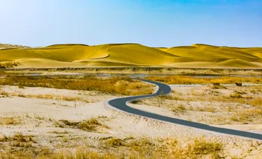 Cum s-a transformat un deșert din nord-vestul Chinei într-un uriaș rezervor natural de carbon?