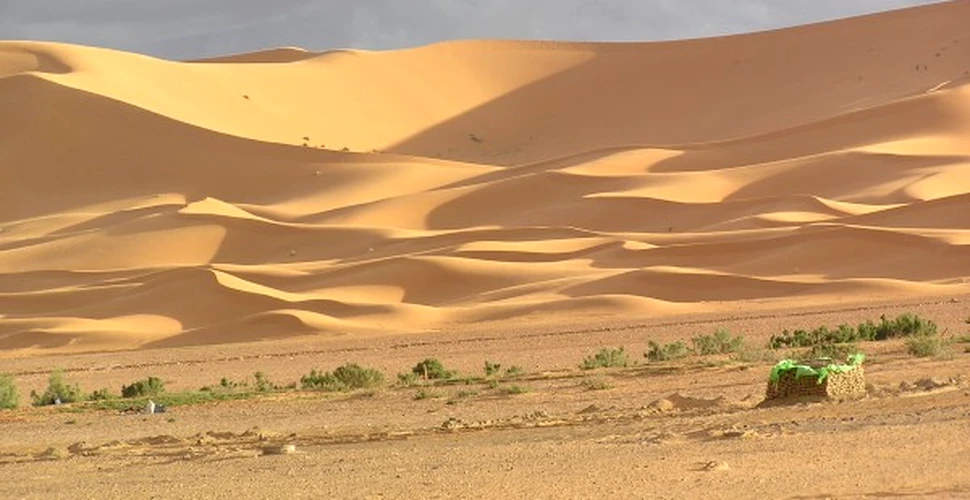 Sahara a devenit desert dupa o lunga tranzitie