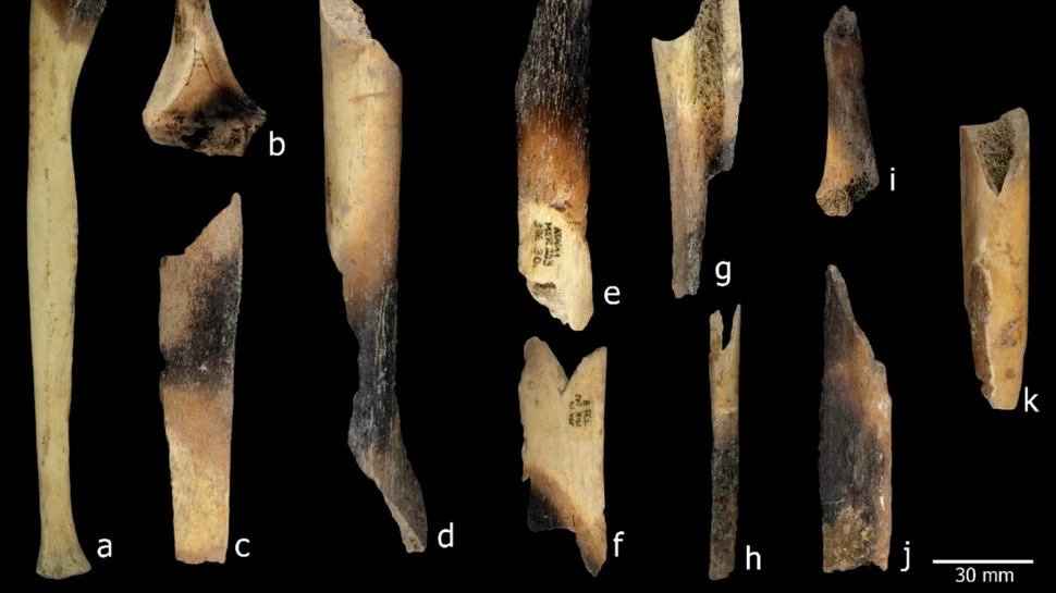 „Eliminarea supremă”: Canibalii neolitici din Spania își devorau adversarii