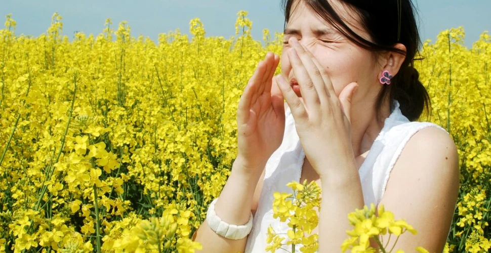Noi cercetări arată că polenul poate modifica vremea