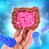 O proteină specială din intestinul tău duce o bătălie grea împotriva bacteriilor