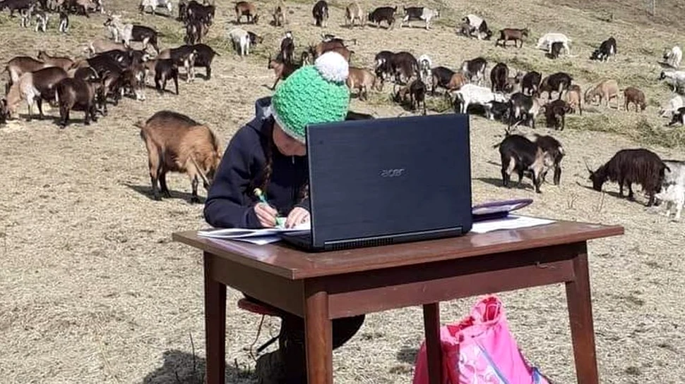 O fetiță de 10 ani face școală online pe vârf de munte, între animale