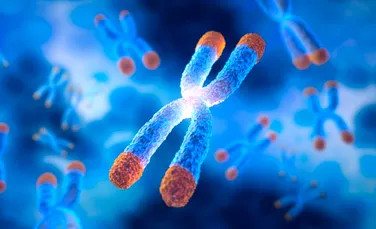 Peste 400 de gene legate de îmbătrânirea accelerată, descoperite de cercetători