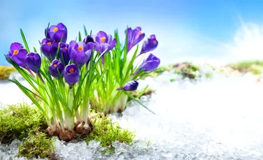 Vremea în luna martie. Cât mai ține frigul și când își intră primăvara în drepturi?
